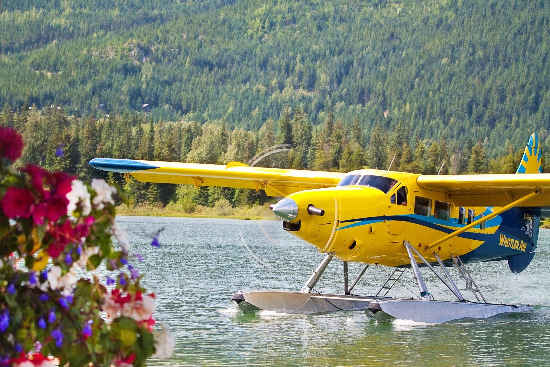 bi plane water green