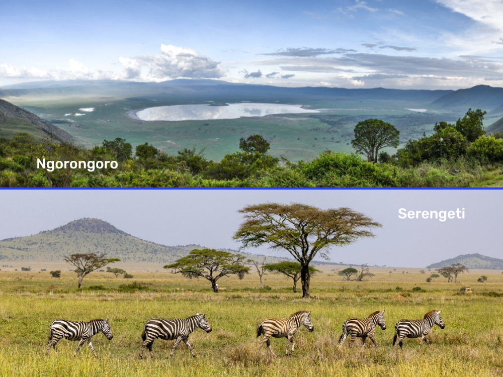 ngorongoro serengeti